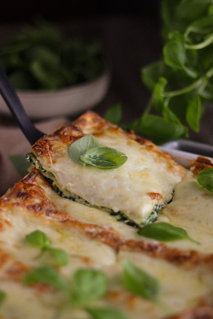 Lazania z ricottą, szpinakiem i serowym beszamelem